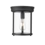 Z-Lite Thayer 10" Wide Flush Mount Ceiling Fixture Matte Black