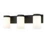 Z-Lite Burk 3 Light 23" Wide Vanity Light Matte Black