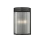 Z-Lite Carnaby 2 Light 12" Tall Wall Sconce Matte Black