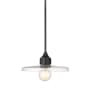Z-Lite Paloma 14" Wide Pendant Matte Black