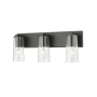 Z-Lite Titus 3 Light 24" Wide Vanity Light Matte Black