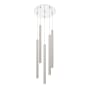 Z-Lite Forest 5 Light 14" Wide LED Multi Light Pendant with 24" Pendants Brushed Nickel / Chrome