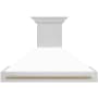 ZLINE Autograph Edition 280 - 700 CFM 48 Inch Wide Outdoor Wall Mounted Range Hood with Cosmetic Handle and LED Lights Stainless Steel / Matte White / Champagne Bronze