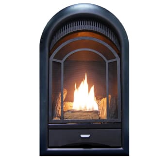 ProCom PCS100T 10,000 BTU Vent Free Dual Fuel Fireplace | Build.com