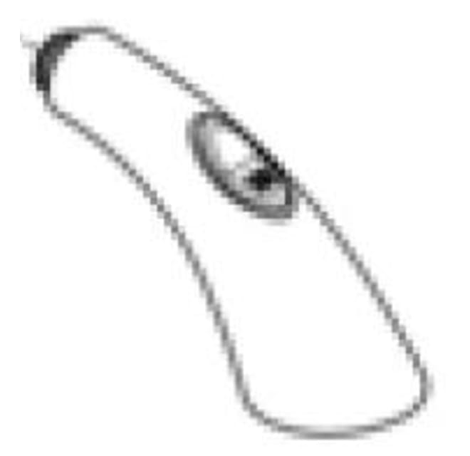 Faucet Spray Hoses Grohe 46 348 SD0 Ladylux Cafe Hose and Head