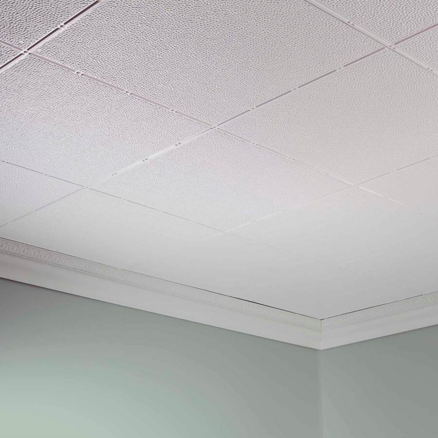 acp-g56-product-shot-623