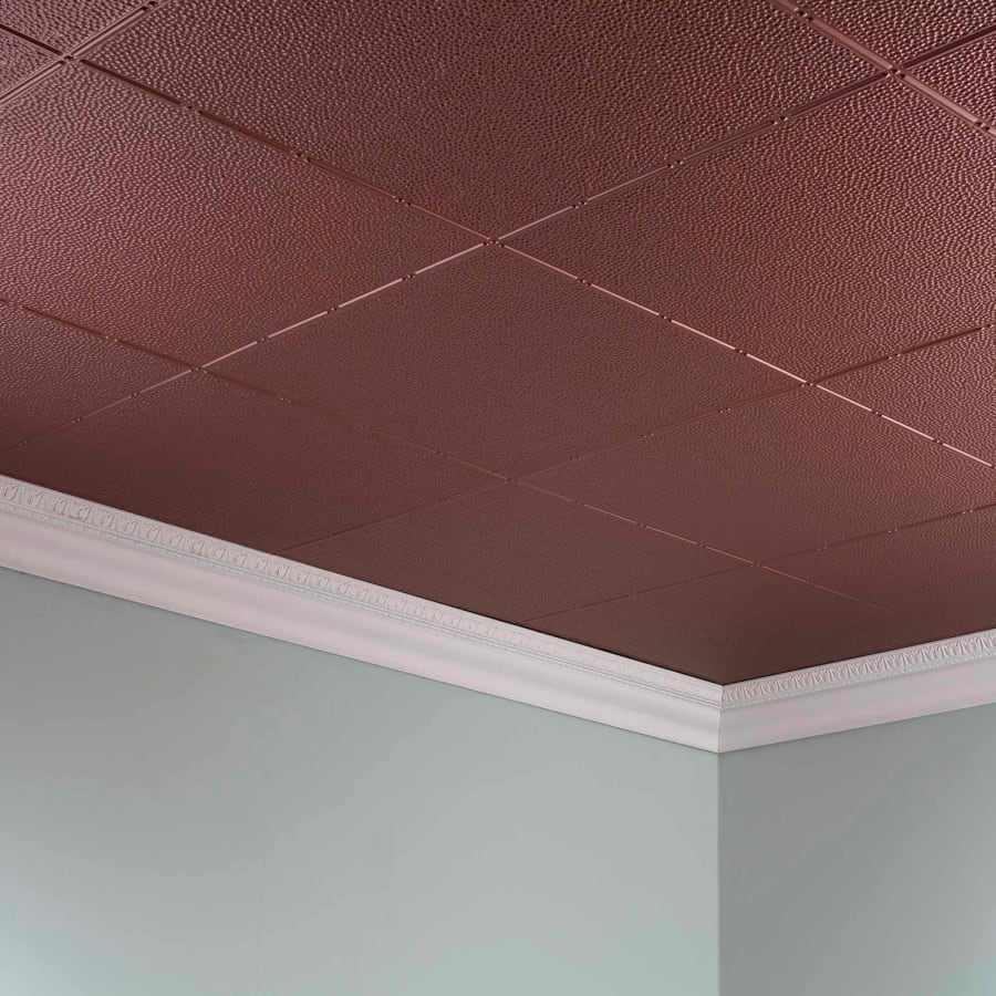 acp-g56-product-shot-626 acp-g56-product-shot-626