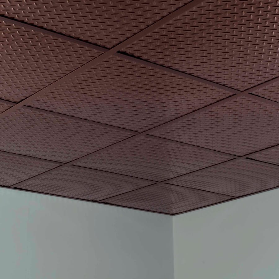 acp-l66-product-shot-1025 acp-l66-product-shot-1025