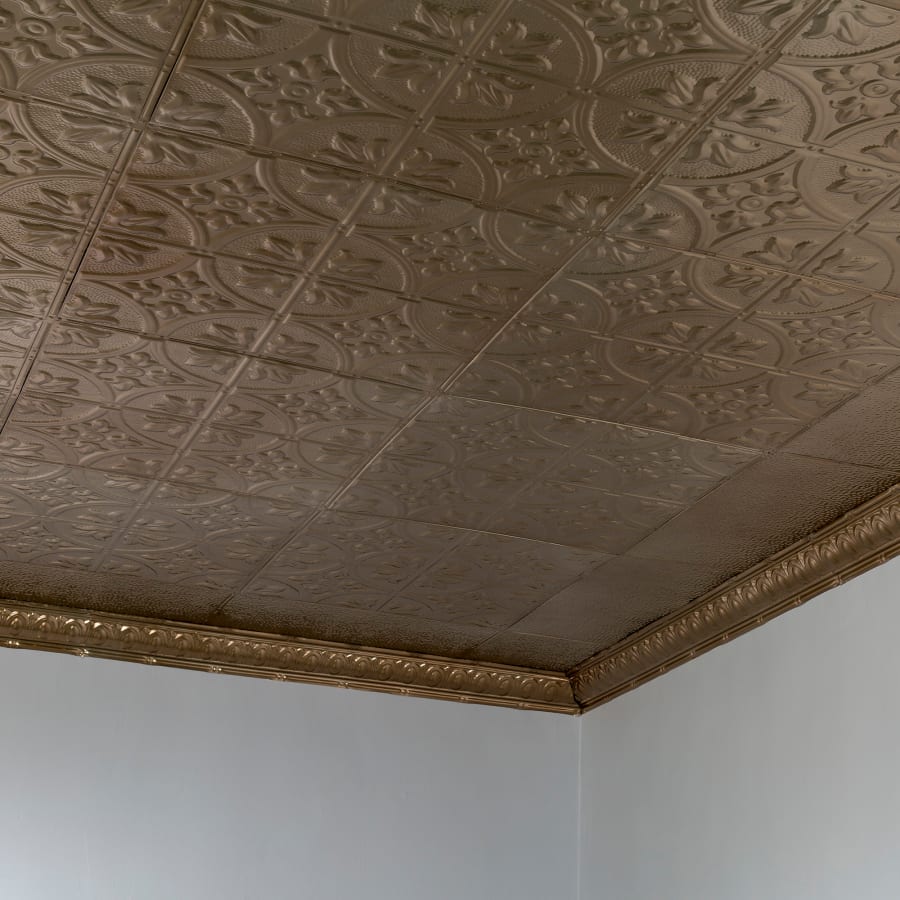 acp-t51-alternate-image-40 acp-t51-alternate-image-40