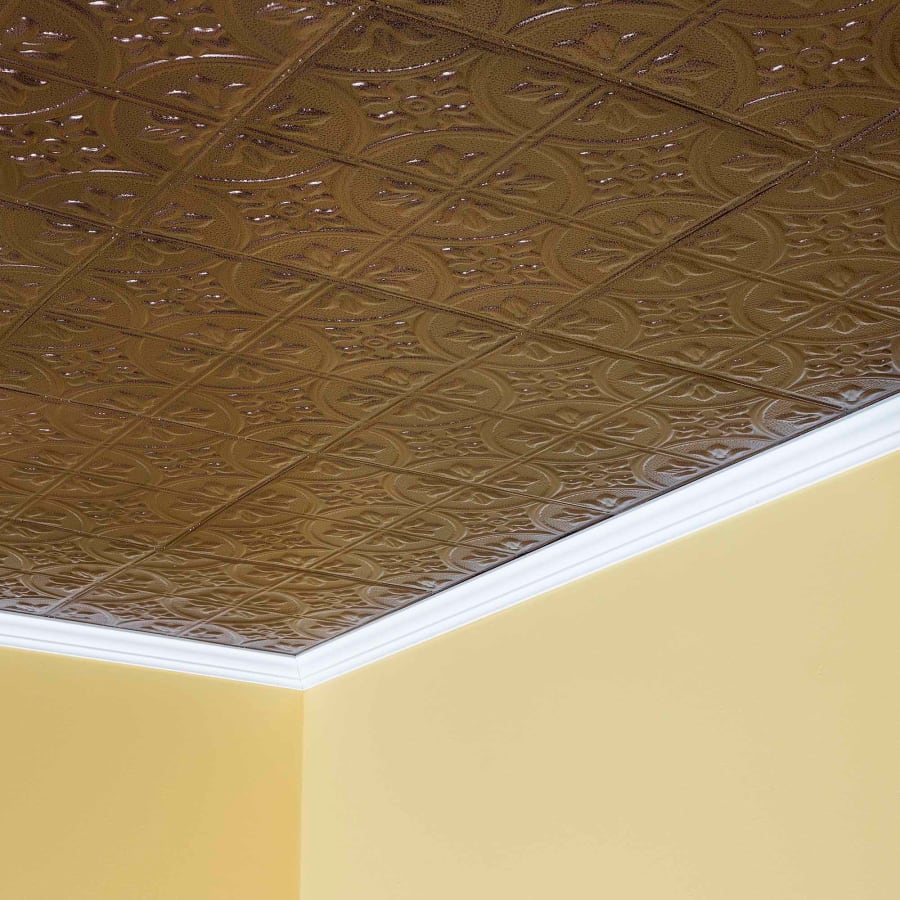 acp-t51-product-shot-1607 acp-t51-product-shot-1607