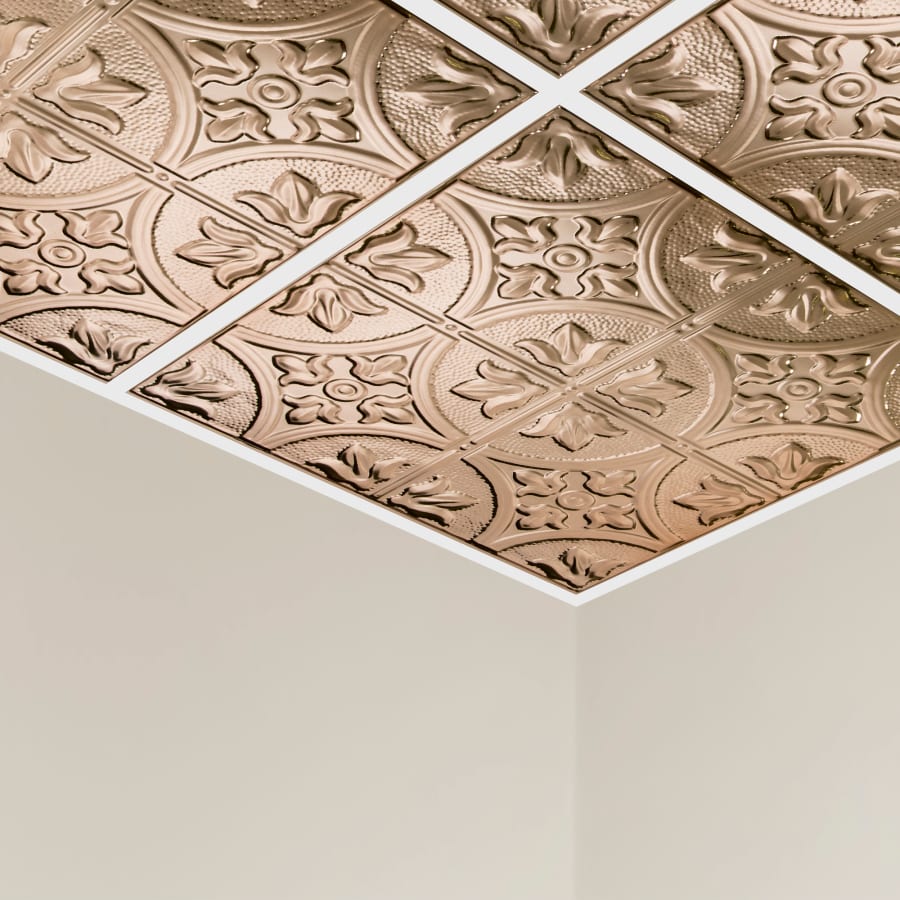 acp-y51-alternate-image-24 acp-y51-alternate-image-24