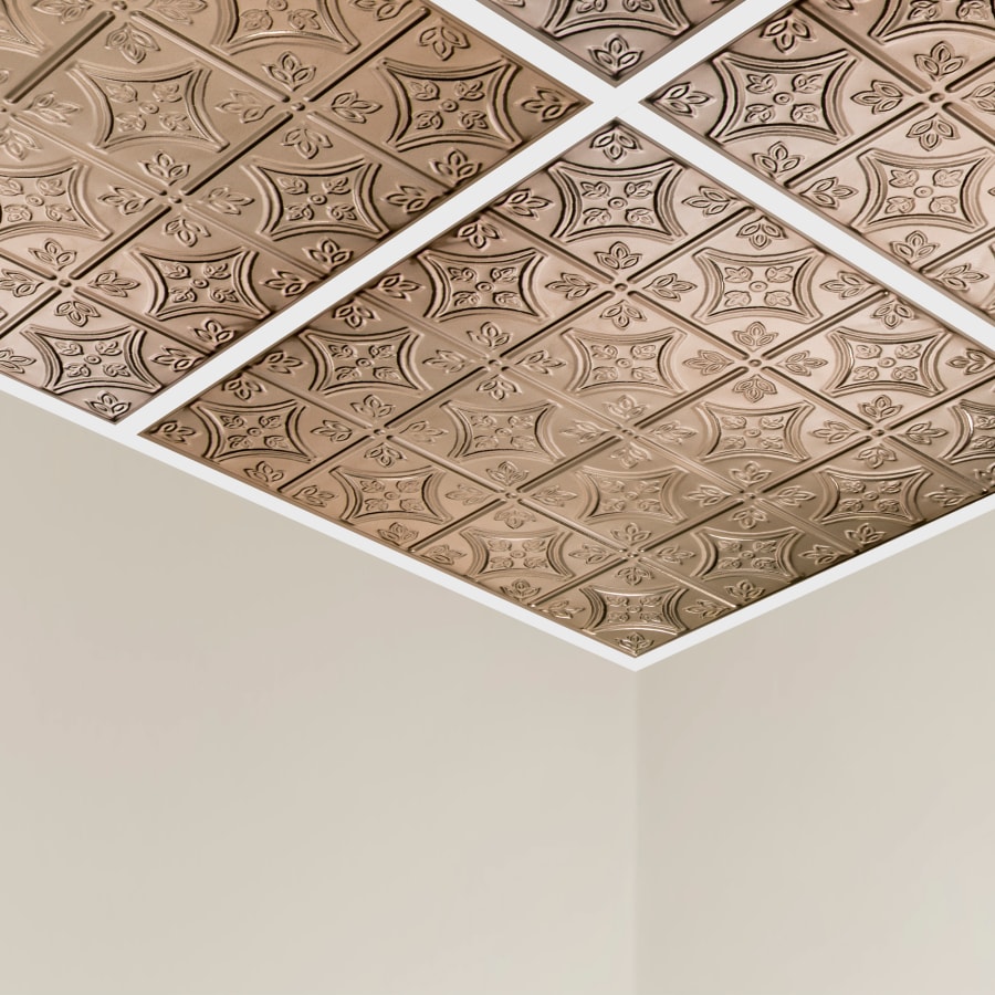 acp-y52-alternate-image-36 acp-y52-alternate-image-36