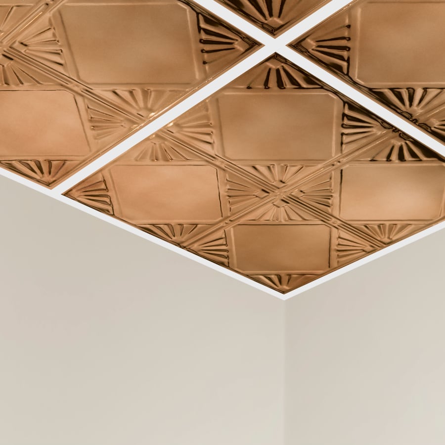 acp-y56-alternate-image-55 acp-y56-alternate-image-55