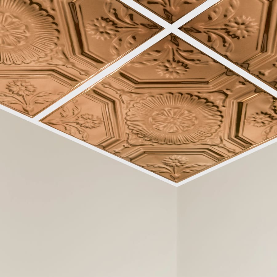 acp-y58-alternate-image-47 acp-y58-alternate-image-47