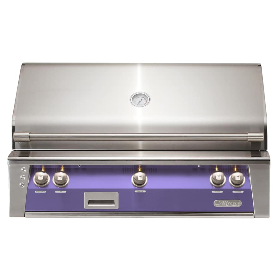 alfresco-alxe-42-ng-s4005-4325983 alfresco-alxe-42-ng-s4005-4325983