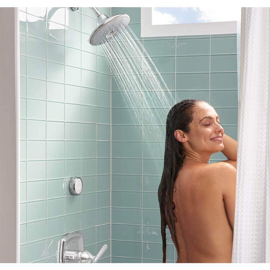 american-standard-9038-374-alternate-installed-in-use-view-106