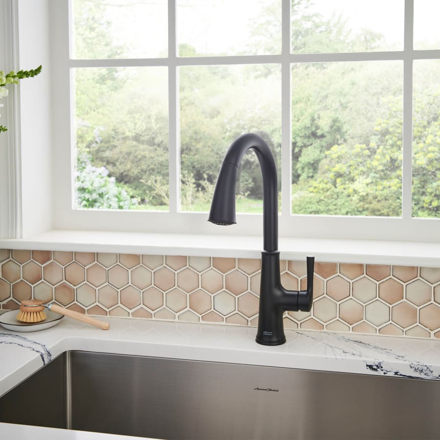 american-standard-9319-310-alternate-image-26 american-standard-9319-310-alternate-image-26