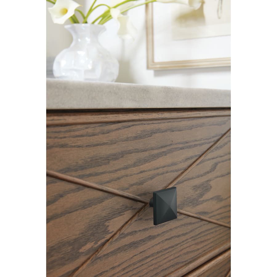 amerock-bp29398-alternate-view-295 amerock-bp29398-alternate-view-295