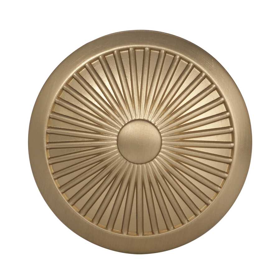 amerock-bp36613-top-view-in-golden-champagne-1186