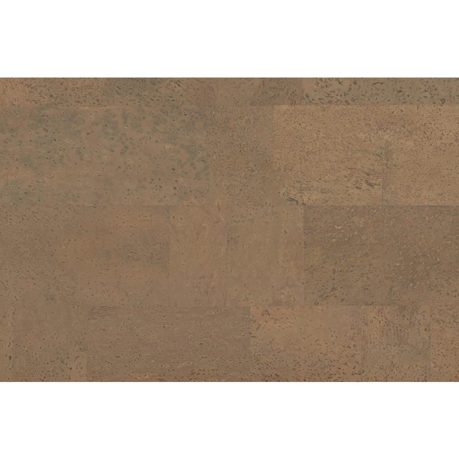 Desert