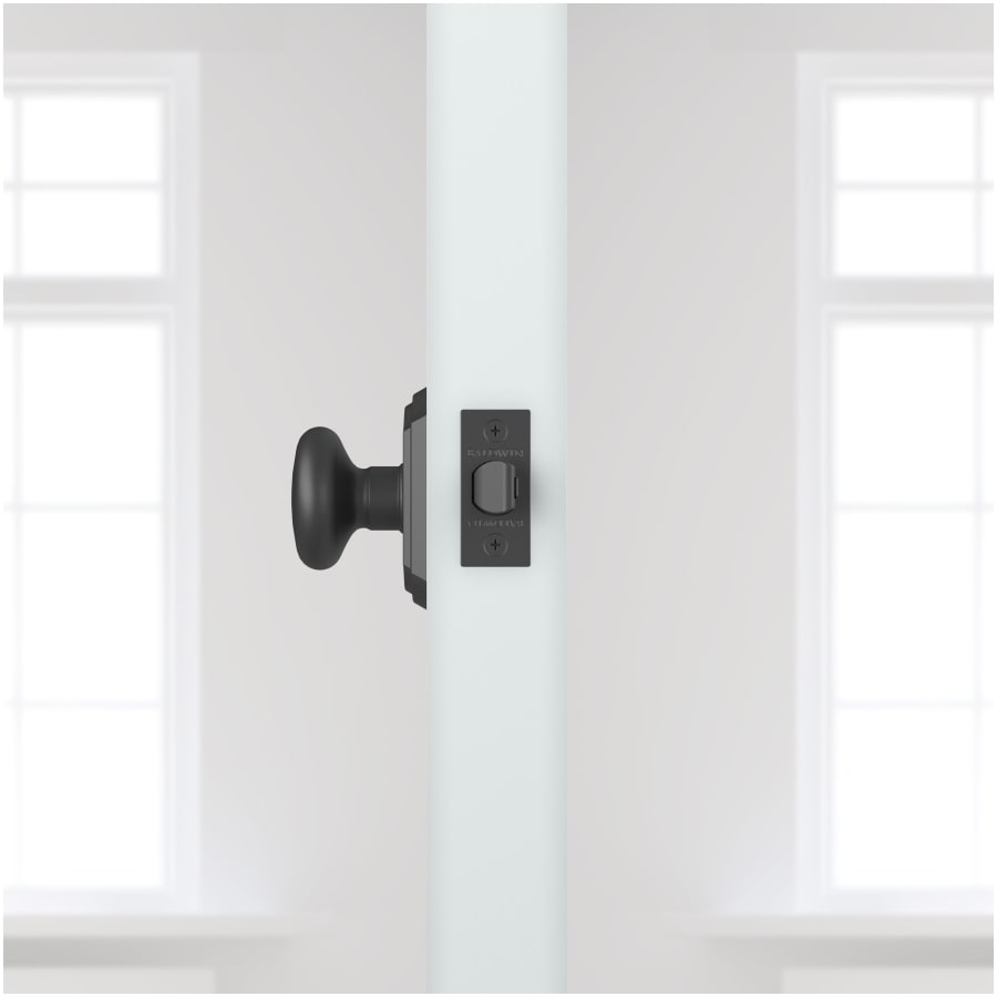 baldwin-hd-rou-tar-alternate-view-166 baldwin-hd-rou-tar-alternate-view-166