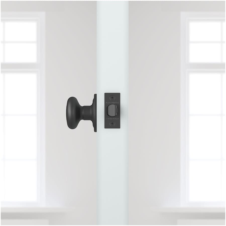 baldwin-hd-rou-trr-alternate-view-168