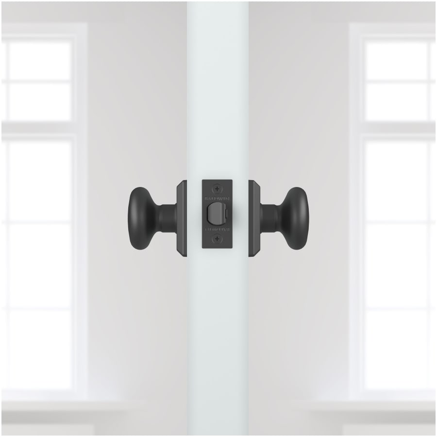 baldwin-ps-rou-tsr-alternate-view-238 baldwin-ps-rou-tsr-alternate-view-238