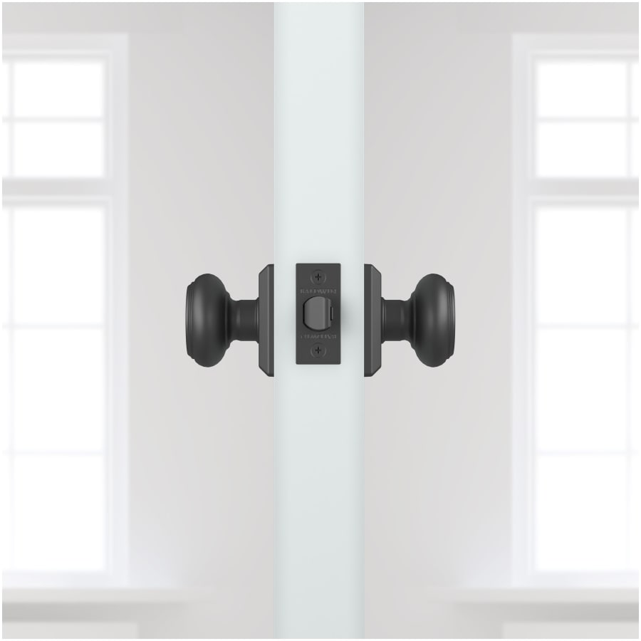 baldwin-ps-tra-tsr-alternate-view-247 baldwin-ps-tra-tsr-alternate-view-247