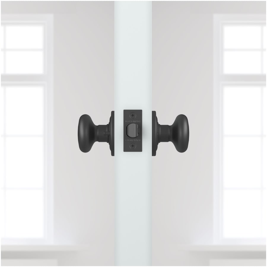 baldwin-pv-rou-trr-alternate-view-307 baldwin-pv-rou-trr-alternate-view-307