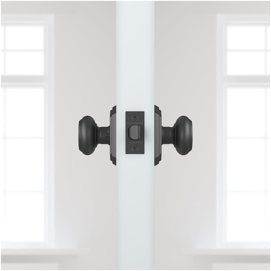 baldwin-pv-tra-tar-alternate-view-313