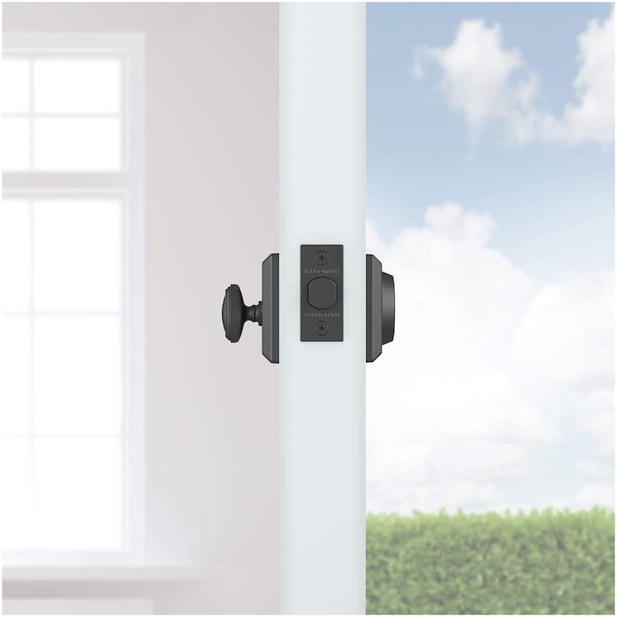 baldwin-sc-tsd-alternate-view-365