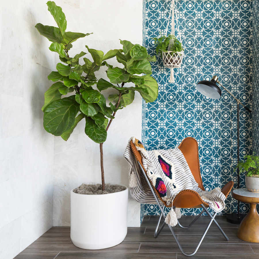 bedrosians-decrem88-alternate-image-345