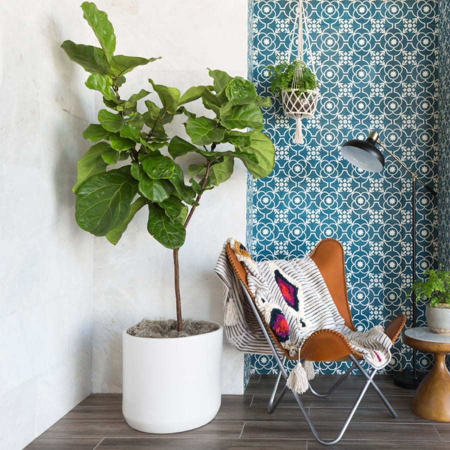 bedrosians-decrem88-alternate-image-345 bedrosians-decrem88-alternate-image-345