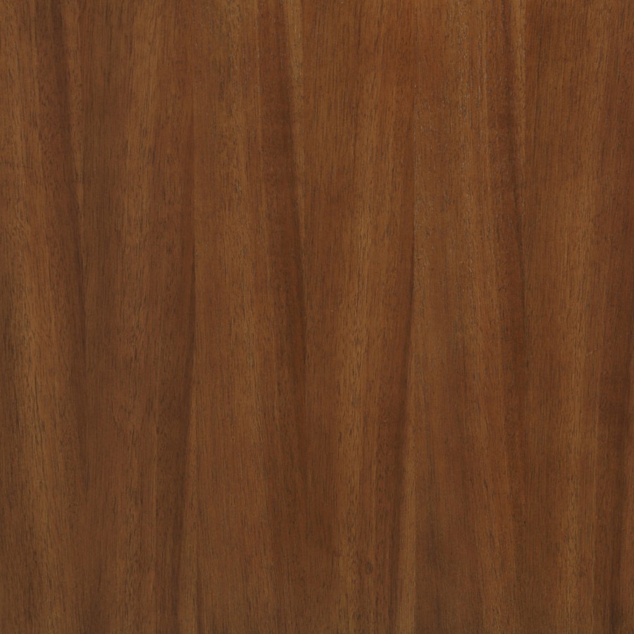 bemma-v-tr36sfm-s-1-alternate-image-543