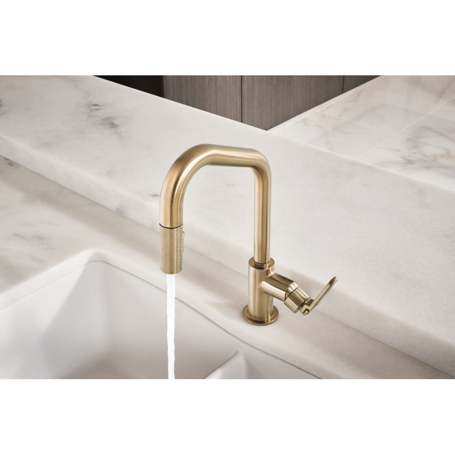 brizo-63064lf-in-use-29 brizo-63064lf-in-use-29