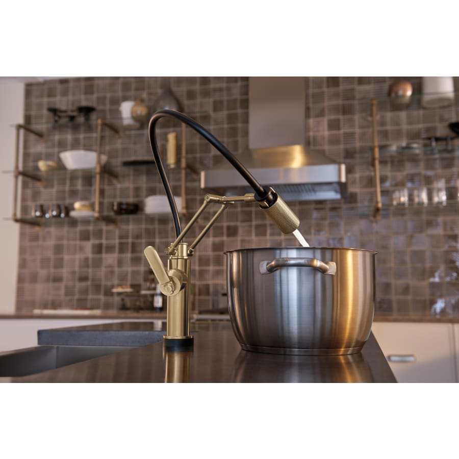 brizo-64244lf-in-use-3-47 brizo-64244lf-in-use-3-47