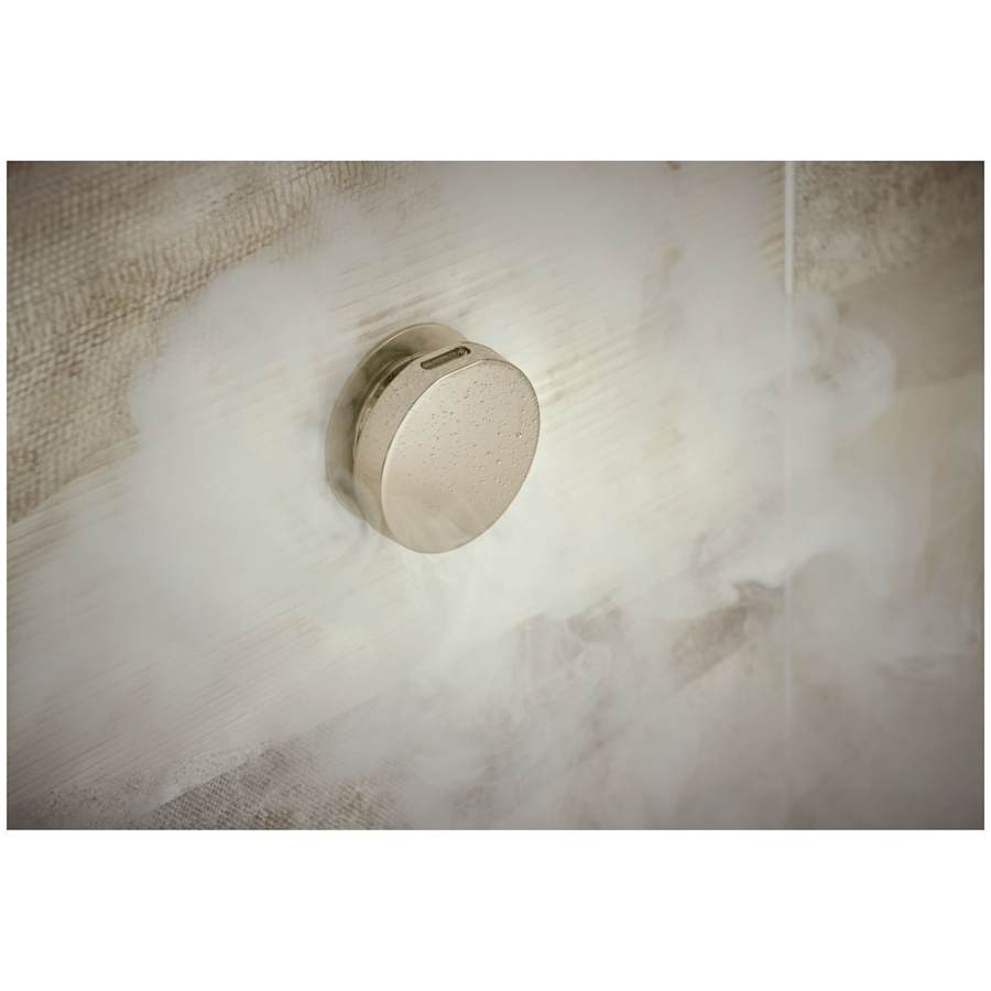 brizo-8ch-250r-alternate-image-138