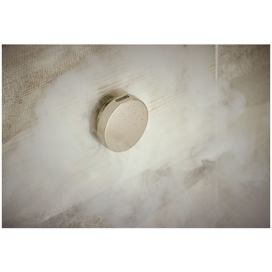 brizo-8ch-250r-alternate-image-138 brizo-8ch-250r-alternate-image-138