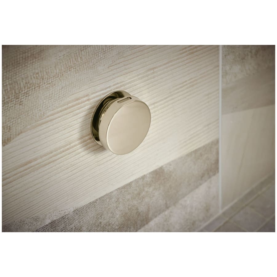 brizo-8ch-250r-alternate-image-139 brizo-8ch-250r-alternate-image-139