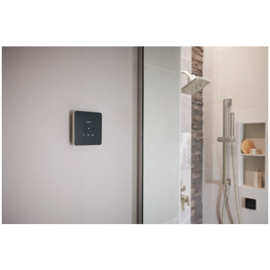 brizo-8cn-220l-alternate-image-149 brizo-8cn-220l-alternate-image-149