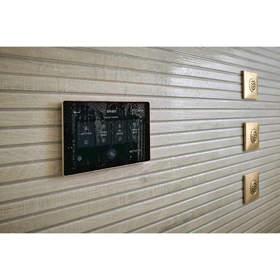 brizo-8cn-600s-alternate-image-91