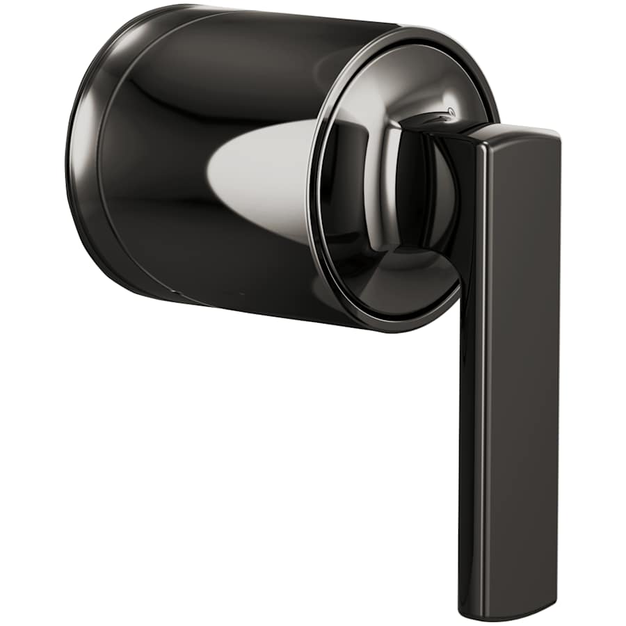 brizo-hl60p06-bnx-5060541