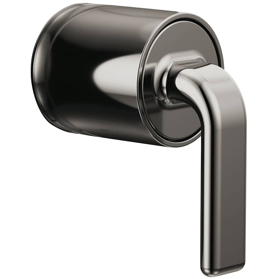 brizo-hl60p67-bnx-8867303