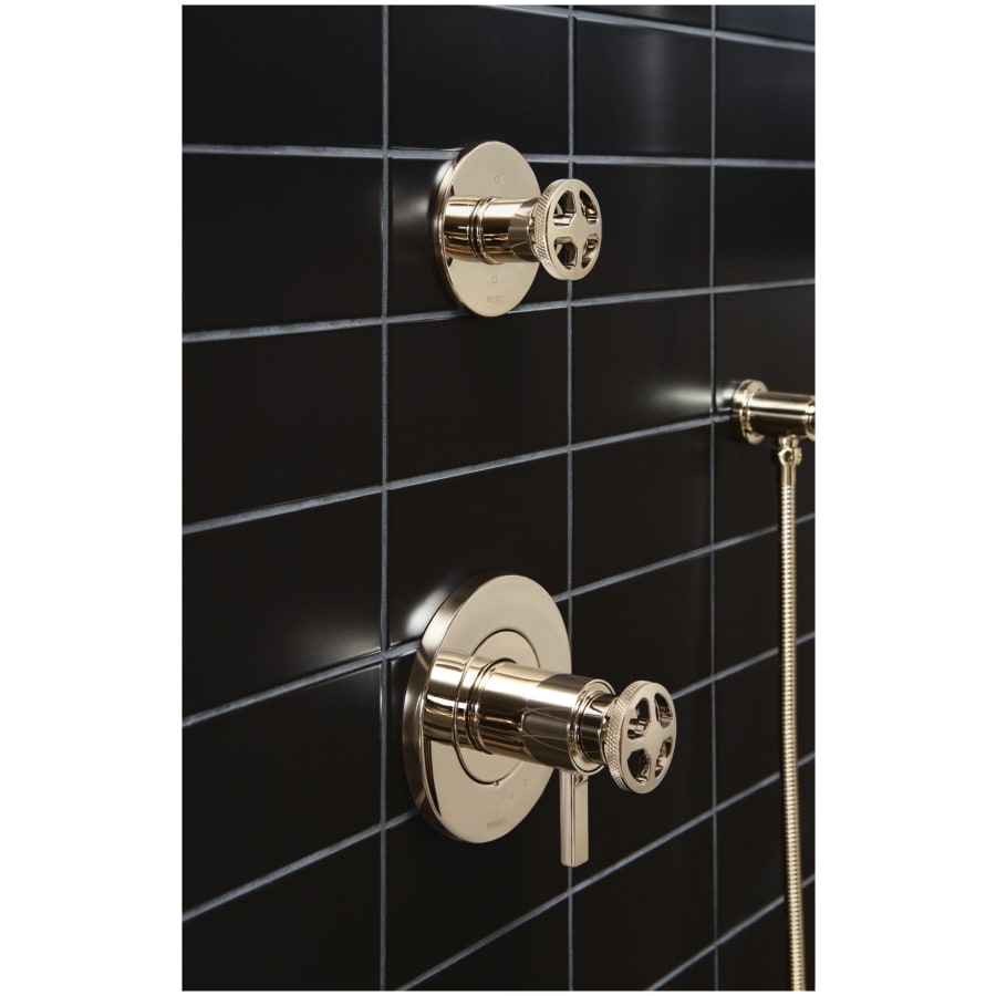 brizo-hw6032-alternate-image-11 brizo-hw6032-alternate-image-11