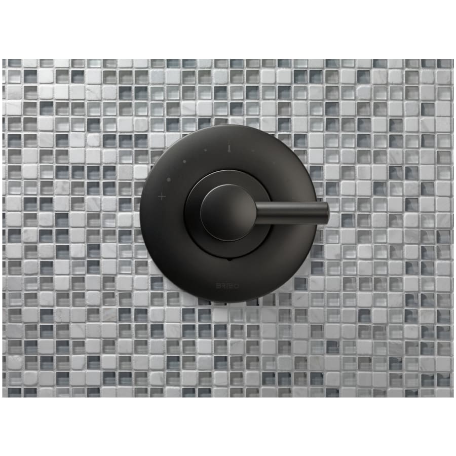 brizo-t66t075-lhp-alternate-view-78 brizo-t66t075-lhp-alternate-view-78