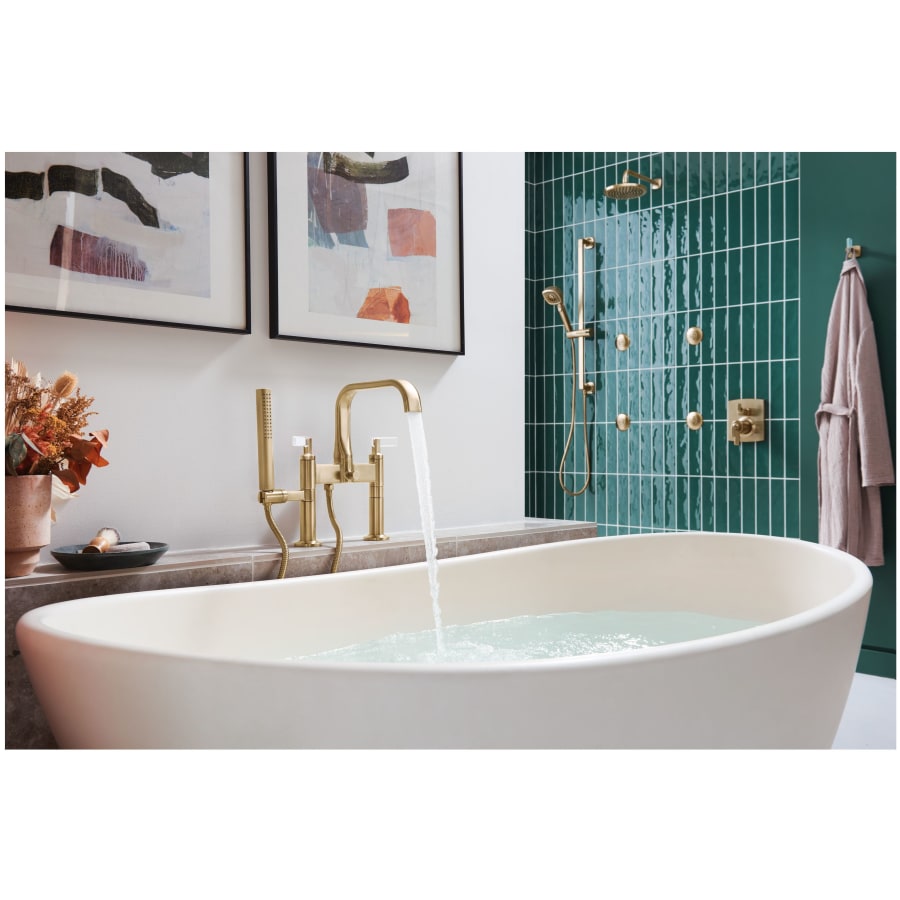 brizo-t70368-alternate-image-255 brizo-t70368-alternate-image-255