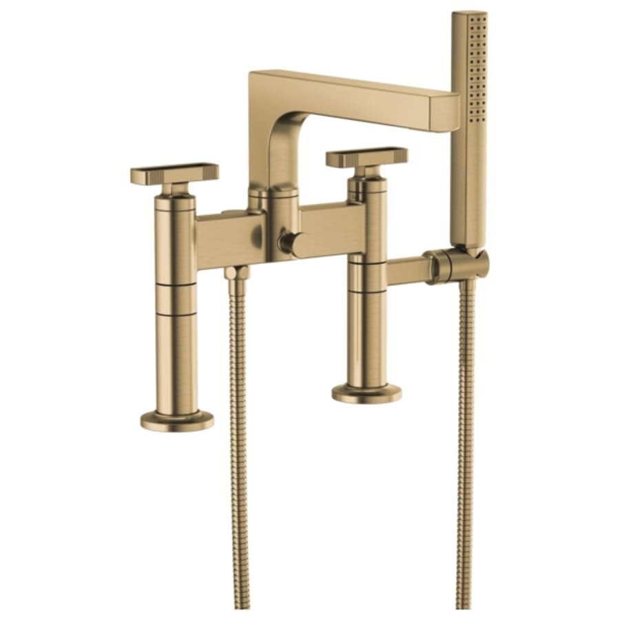 brizo-t71765-alternate-view-120 brizo-t71765-alternate-view-120