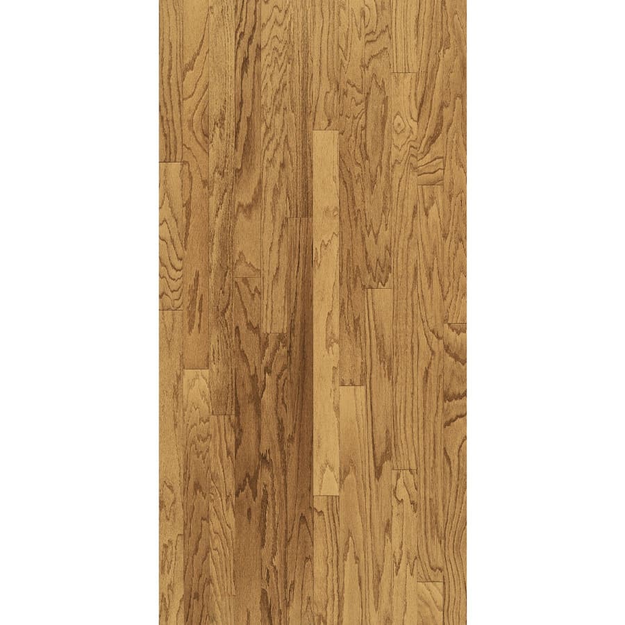 bruce-e534-4716913 bruce-e534-4716913