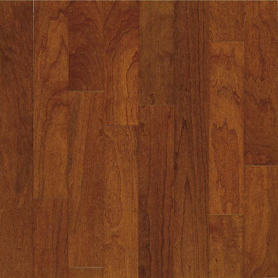 bruce-ech26lg-sample-4716913