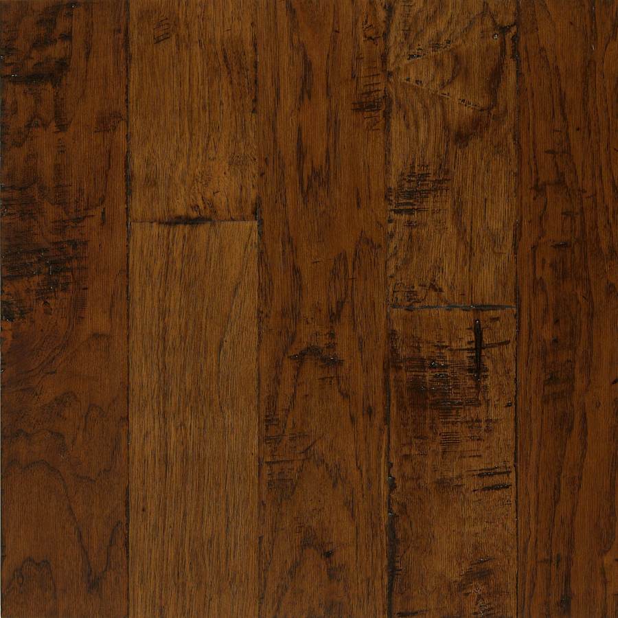 bruce-eel5203a-sample-4716913